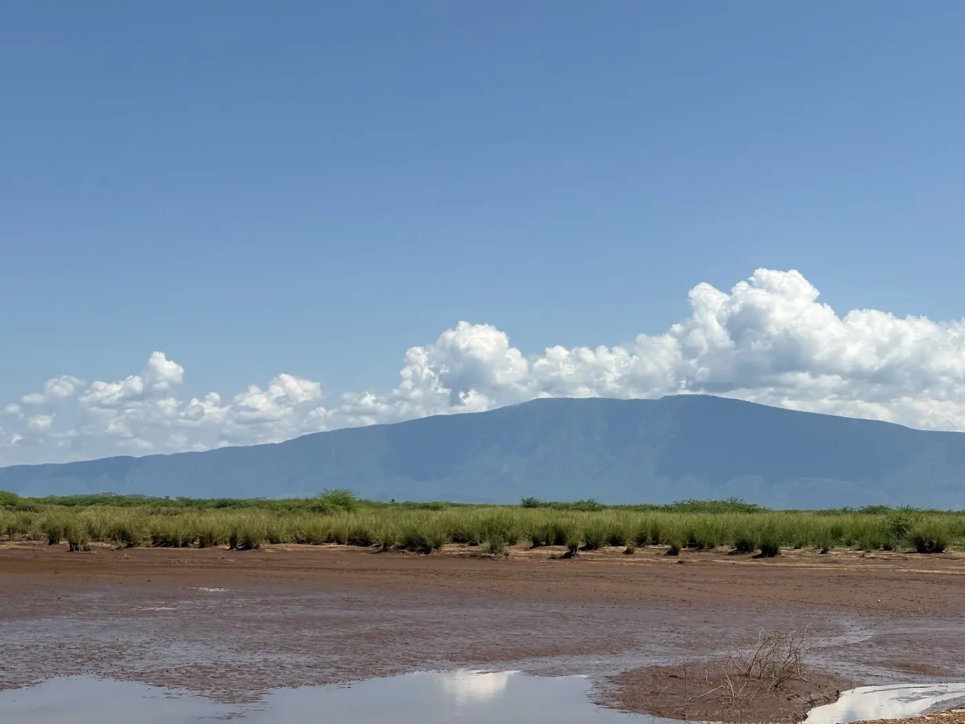 Bare cracked mud flats with shallow standing water, a line of green tussock grass and a broad mountain beyond.