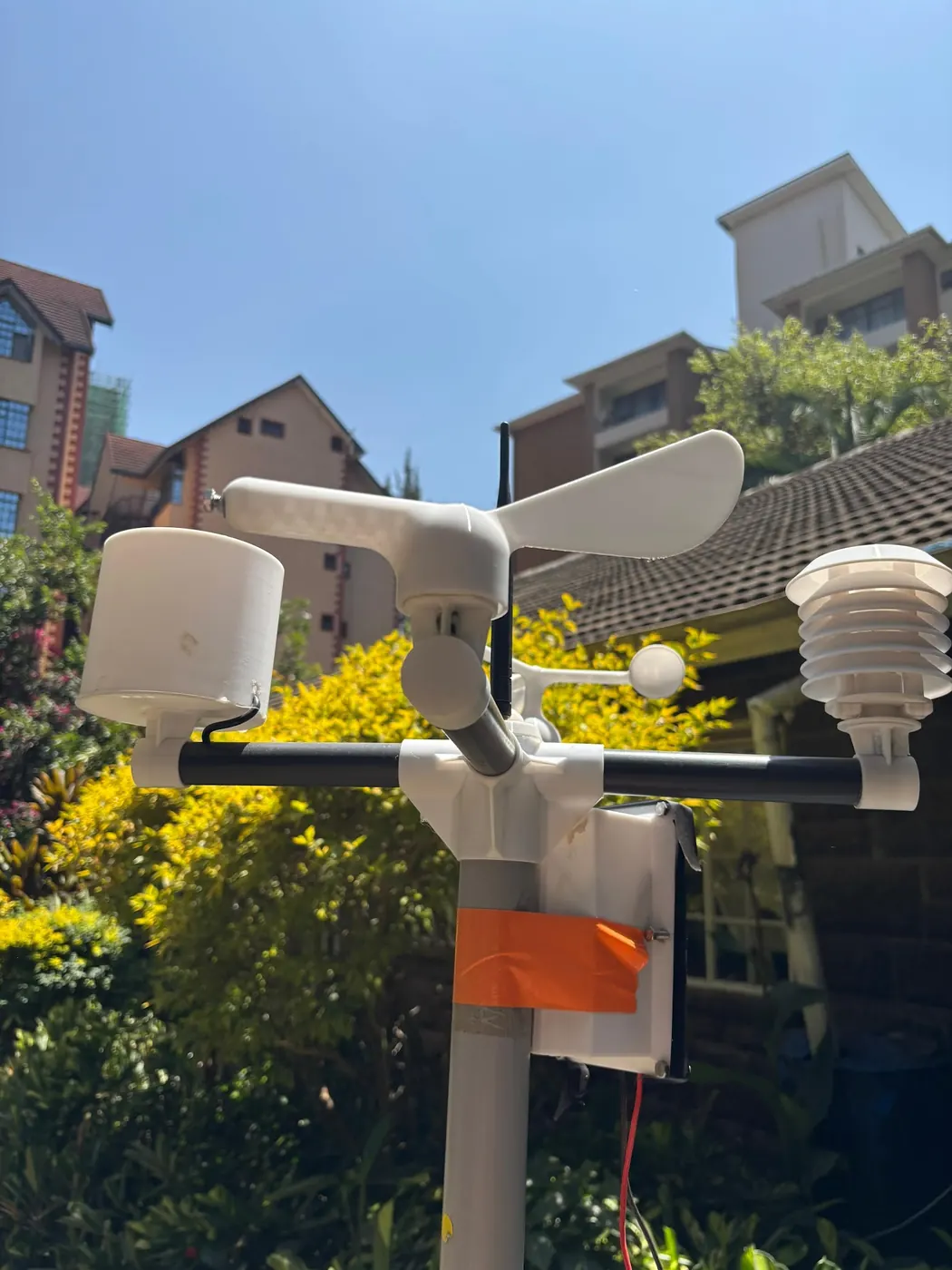A weather station wind vane and cups above a flowering hedge